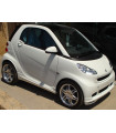 Μαρσπιέ Smart Fortwo 451