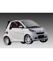 Εμπρός Επιπρόσθετο Σπόιλερ Smart Fortwo 451