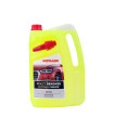 Καθαριστικό εντόμων Insect remover 5L